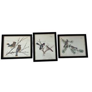 Set Of 3 Sherm Pehrson Bird Prints In Black Wood Frames
